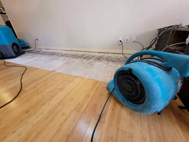 Professional Flood Damage Cleanup technician working in Portland, MI